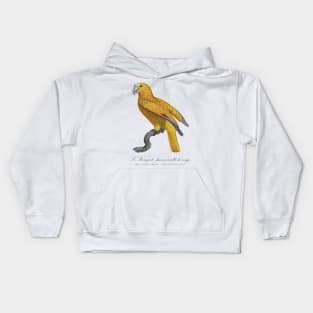 Le Perroquet Jaune Ecaille de Rouge Parrot - 19th century Jacques Barraband Illustration Kids Hoodie